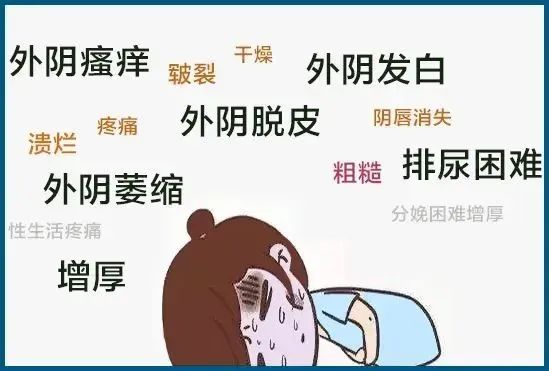 怎样判断自己得了外阴白斑
