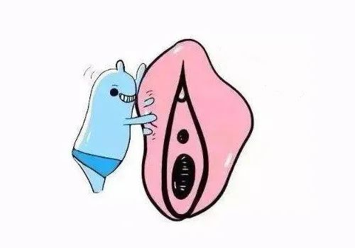 外阴白斑的发病原因有哪些?