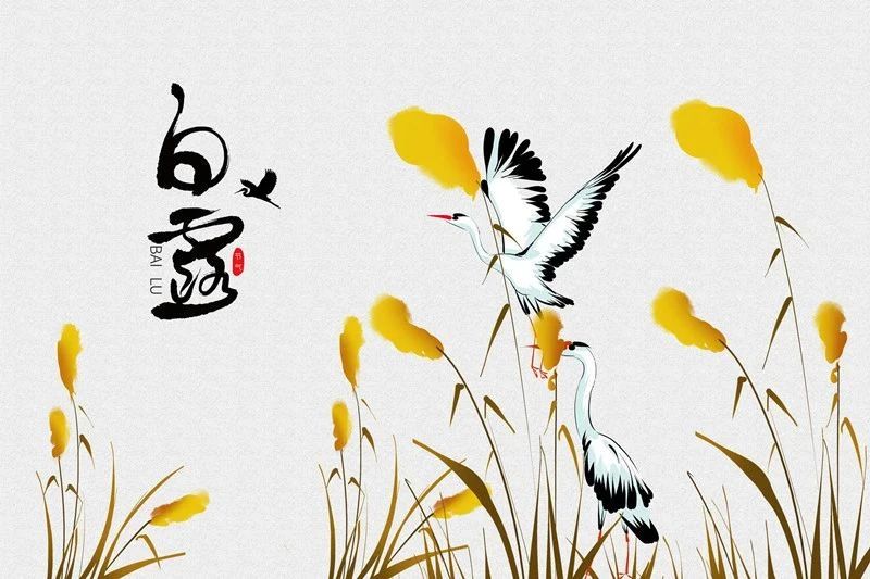 白露时节外阴白斑患者应该怎么养生?